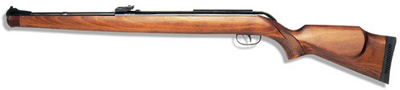 Gamo Stutzen Air Rifle