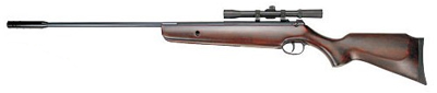 Tech Force TF49 Contender air rifle