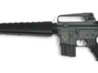 Echo 1 Stag, Image 1