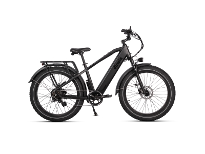 Dirwin Pioneer Fat Tire E-Bike