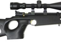 Crosman 2250B Action, Image 1