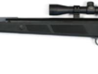 Beeman Panther Air, Image 1
