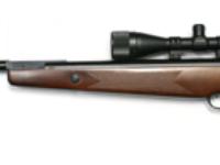 Beeman Heavy Target, Image 1