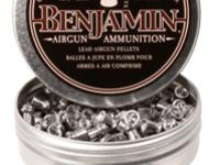 Benjamin Destroyer .25, Image 1