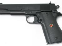 Colt Delta Elite, Image 1