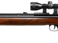 Crosman 2260SE, Image 1