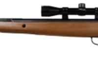 Crosman Titan GP, Image 1