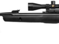 Gamo Whisper with