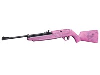 Crosman 760 Pumpmaster.