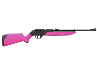 Crosman 760 Pumpmaster