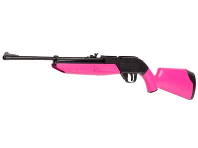 Crosman 760 Pumpmaster