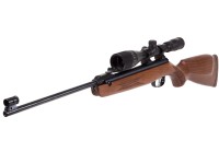 Beeman R7 Elite.