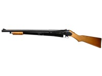 Daisy Model 25.