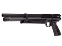 Crosman 1720T PCP, Image 1