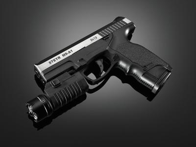Steyr Arms M9-A1 Dual-Tone