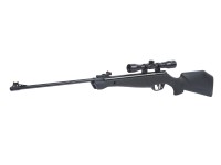Crosman Shockwave NP, Image 1