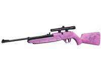 Crosman Pumpmaster 760PX.