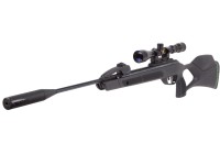 Gamo Swarm Magnum.