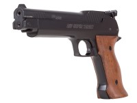 SIG Sauer ASP, Image 1