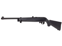 Ruger 10/22 CO2.