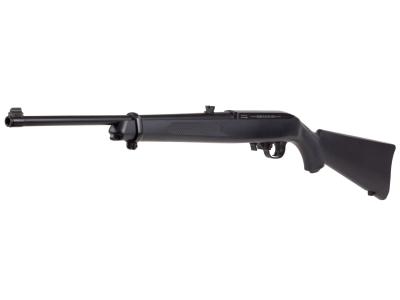 Ruger 10/22 CO2