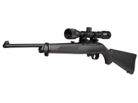 Ruger 10/22 .177, Image 1