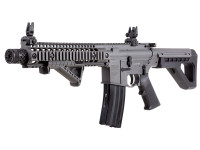 Crosman DPMS SBR, Image 1