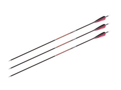 Marksman Pocket Hunter 31" Carbon Arrows, 3 pack