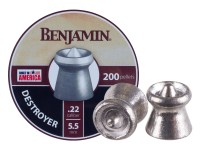 Benjamin Destroyer .22.