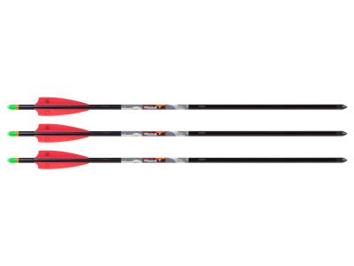 Wicked Ridge Lighted XX75 20" Arrows, 3 Pack