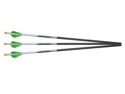 Excalibur Proflight 18" Illuminated Carbon Arrows, 3 Pack