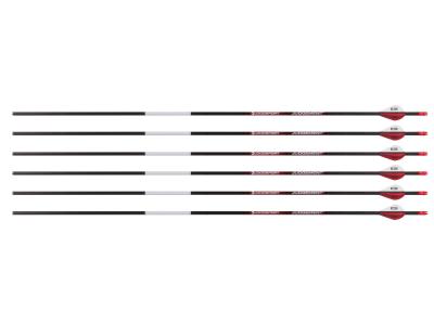 Bloodsport Judgement Arrow, 500 Spine, 6 Pack