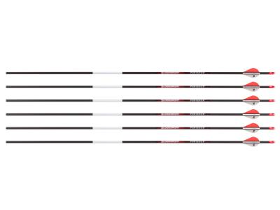 Bloodsport Punisher Arrow, 500 Spine, 6 Pack