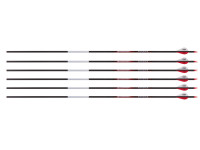Bloodsport Punisher Arrow,, Image 1