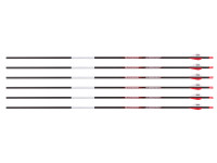 Bloodsport Judgement Arrow,, Image 1