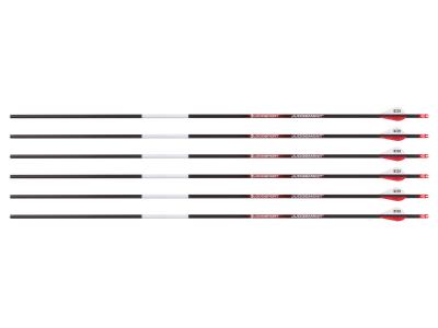 Bloodsport Judgement Arrow, 300 Spine, 6 Pack