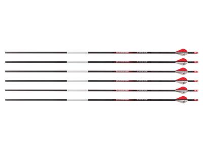 Bloodsport Punisher Arrow, 300 Spine, 6 Pack