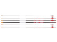 Bloodsport Prosecutor Arrow,, Image 1