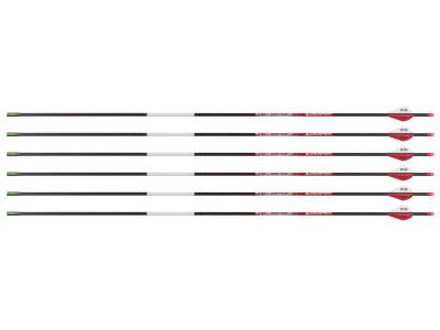 Bloodsport Justice Arrow, 400 Spine, 6 Pack