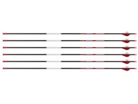 Bloodsport Prosecutor Arrow,, Image 1