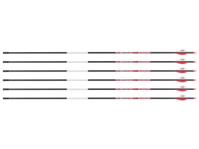 Bloodsport Justice Arrow, 300 Spine, 6 Pack