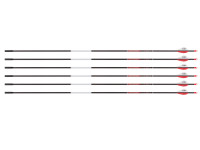 Bloodsport Evidence Arrow,, Image 1