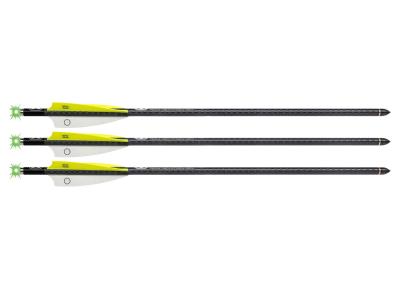 TenPoint EVO-X CenterPunch16 Alpha-Blaze Carbon Arrows, 3 Pack