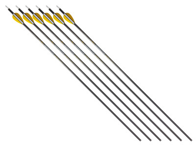 Trophy Ridge Wrath 400 Spine Arrows, 6 Pack