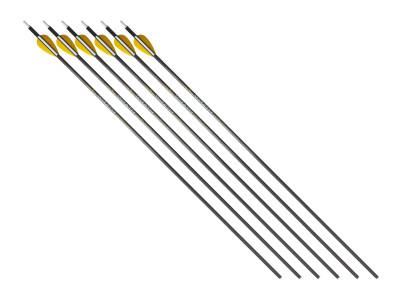 Trophy Ridge Wrath 340 Spine Arrows, 6 Pack