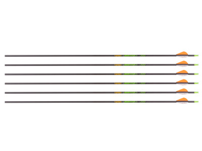 Gold Tip Hunter XT 300 Spine Arrows, 6 Pack