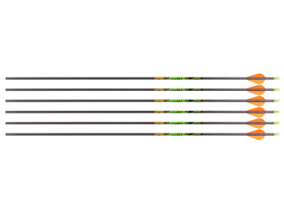 Gold Tip Hunter XT 500 Spine Arrows, 6 Pack