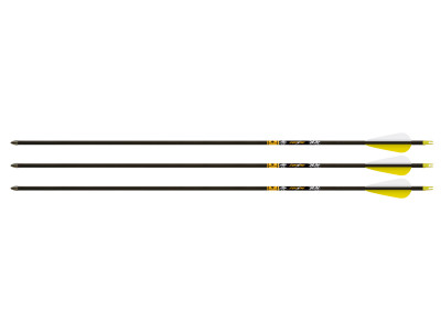 Gold Tip Lightning Youth 28" Arrows, 3 Pack