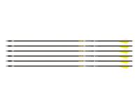Gold Tip Pierce, Image 1