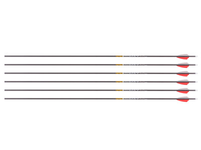 Gold Tip Pierce Platinum 340 Spine Arrows, 6 Pack